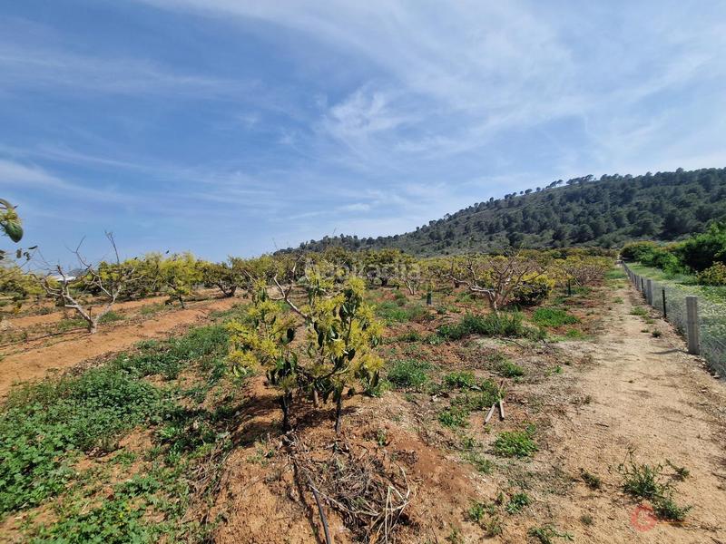 Foto b19a4562-f311-44ae-ba84-b8344921e0e4. Masía finca rustica en Lobres Salobreña