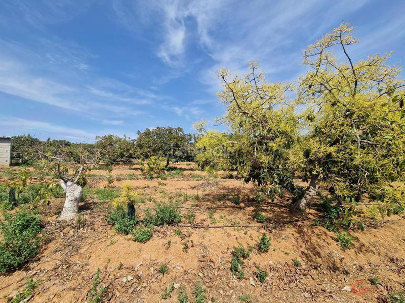 Foto b6fadcd9-a43a-454f-a347-ad76fa2b94da. Masía finca rustica en Lobres Salobreña