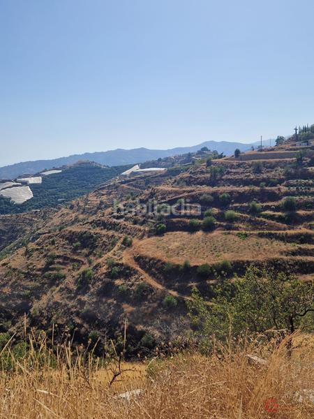 Foto 34a7b18a-84a7-446d-9968-568bb1fde4a3. Terrain résidentiel dans Ítrabo