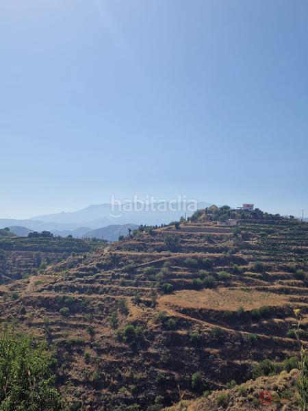 Foto bfb984f5-7341-42a6-a77e-8b1bea4c3d93. Terrain résidentiel dans Ítrabo