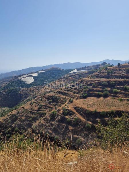 Foto eeda5b53-ca9c-4f2f-b933-e37ed5d13858. Terrain résidentiel dans Ítrabo