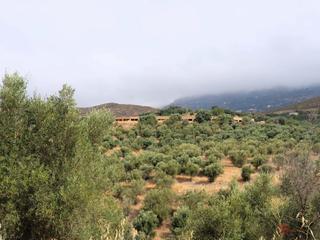 Mas à Lanjarón. Lanjarónfinca rustica
