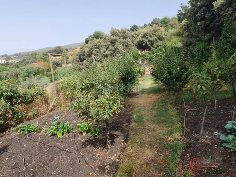 Foto c362ea40-cc7c-4c10-b535-73cd1fa50b3a. Masía finca rustica en Pórtugos