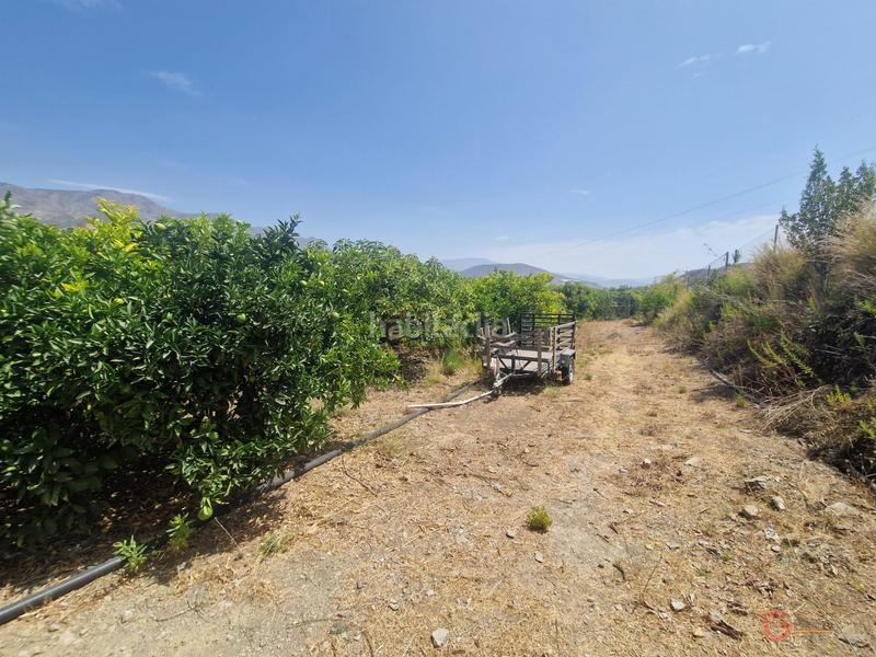 Foto 8a2d7f60-c602-4b02-b6b8-c84d65c4f237. Masía finca rustica en Molvízar
