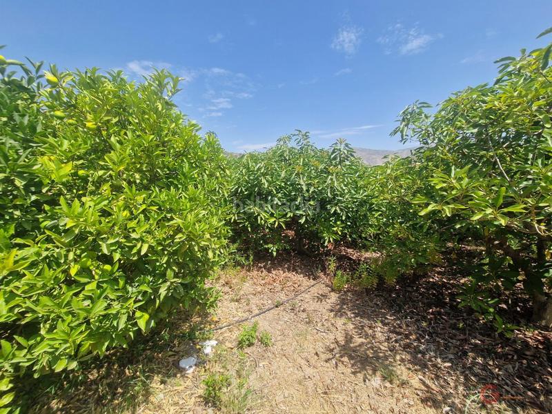 Foto e9f3e9b0-a8f2-41db-8aa1-75b700f3300b. Masía finca rustica en Molvízar