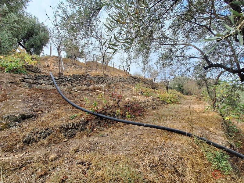 Foto 1b2503e8-4993-4785-be2b-40b3353e7083. Masía finca rustica en Lanjarón