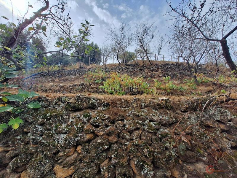 Foto 5ce15629-64e7-4f0a-8e4f-b867ff155783. Masía finca rustica en Lanjarón