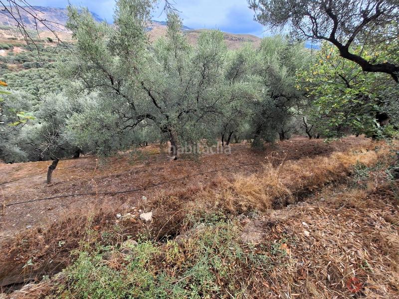 Foto a51636c0-61d9-4d46-8f4f-6d6a0812a353. Masía finca rustica en Lanjarón