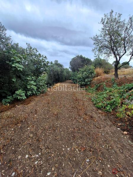 Foto b93002be-a777-476f-82ce-f7858991fbfe. Masía finca rustica en Lanjarón