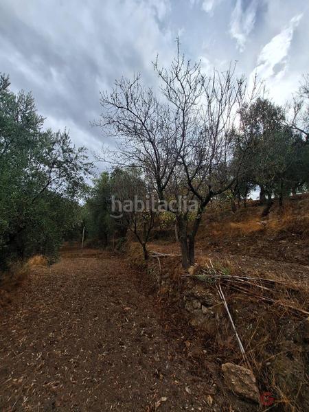 Foto bacf94b0-427f-4d8a-a8f4-34bbffc231a4. Masía finca rustica en Lanjarón