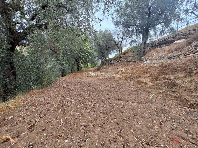 Foto d81104c1-263f-4a64-ae8a-1bd4f6a4079e. Masía finca rustica en Lanjarón