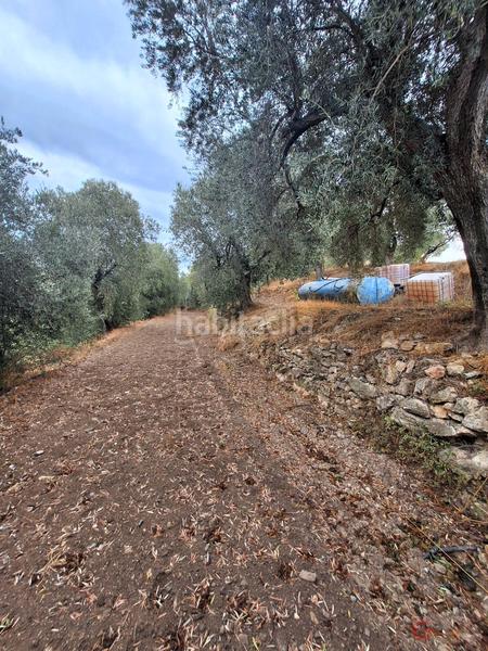 Foto fbd44925-3c14-44c8-ad08-dd435595990d. Masía finca rustica en Lanjarón
