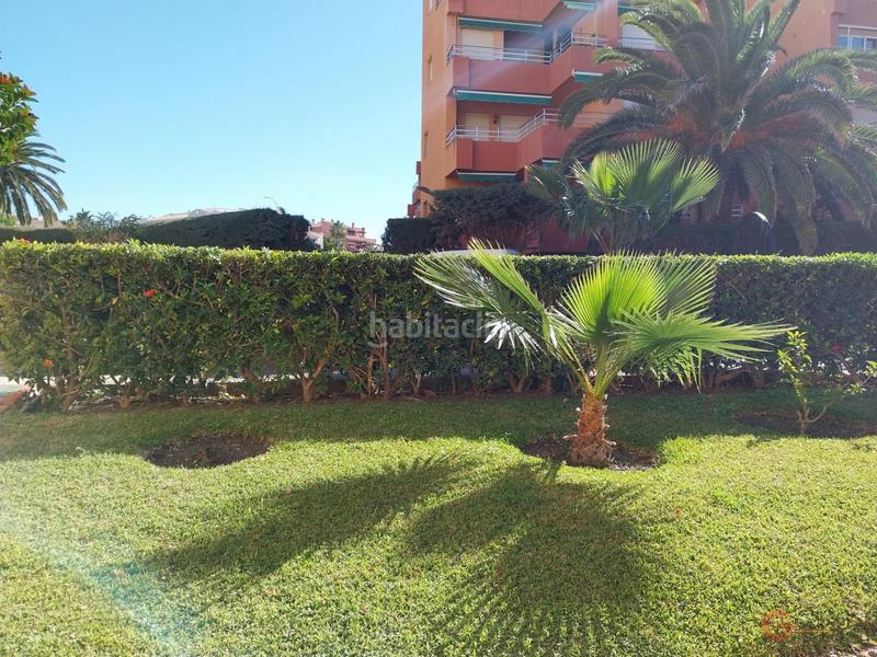 Foto 74c9b410-2bd7-42a5-9252-83366dc3dc03. Local comercial local en Salobreña costa Salobreña