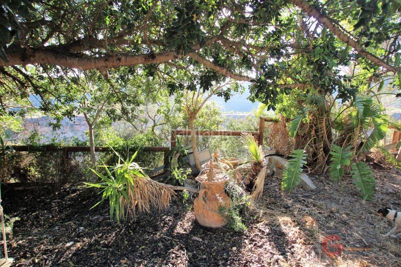 Foto f0bb2a6b-6971-43b4-8bf0-3790b332c739. Masía finca rustica en Vélez de Benaudalla