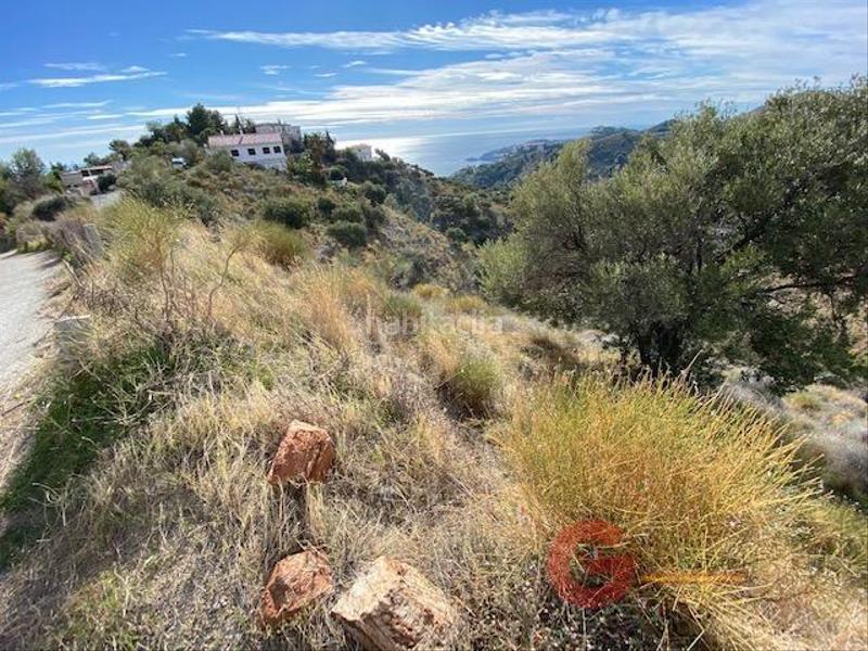 Foto 1b9f6fd1-291e-408f-9b1d-c6198e9d5e55. Residential plot in Cotobro Almuñécar