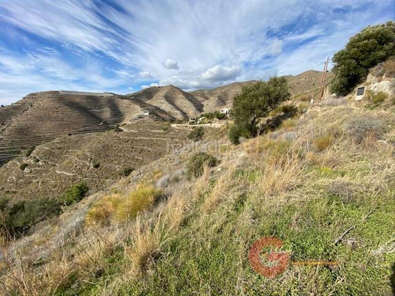 Foto 2d880213-2983-4c33-8ca0-61ea308139c9. Residential plot in Cotobro Almuñécar