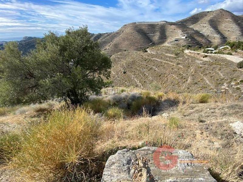 Foto 39398c86-a93a-4143-8b44-8650dfe89c5b. Residential plot in Cotobro Almuñécar