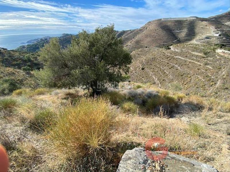 Foto 39f23cab-b172-42bb-be37-87c9bcbcaa55. Residential plot in Cotobro Almuñécar