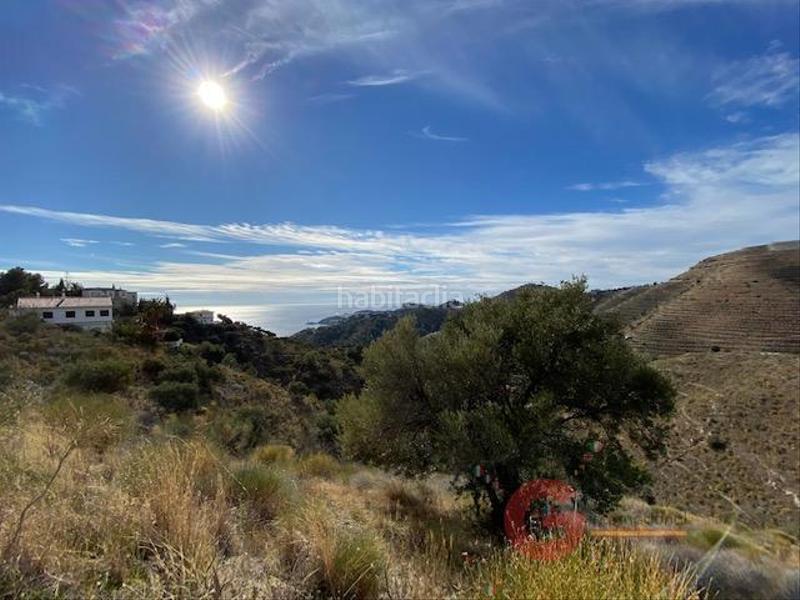 Foto 8e65d9b2-ef47-414d-93f3-5a79b694410e. Residential plot in Cotobro Almuñécar