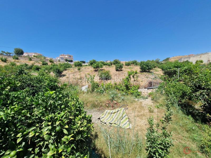 Foto b2bff252-2177-4579-9695-16d64769ce15. Masía finca rustica en Molvízar