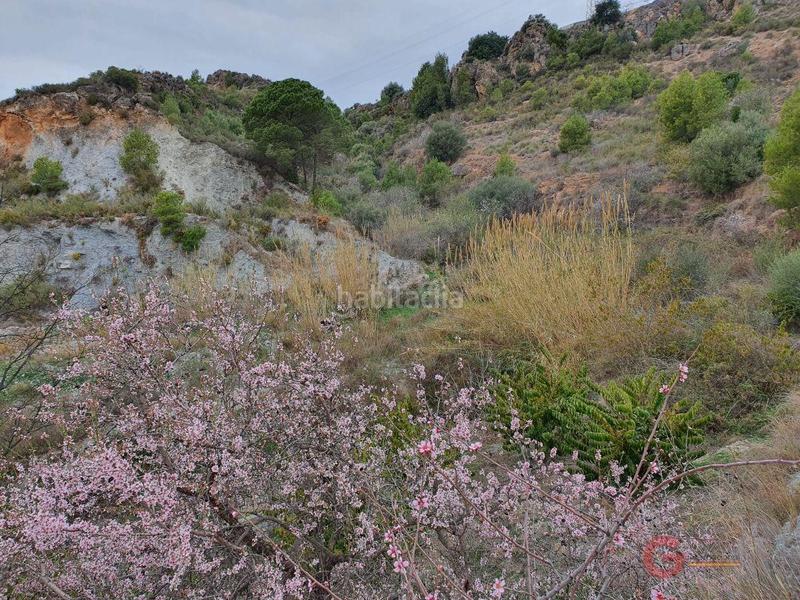 Foto 0aa760c0-0464-4cd0-8276-7988a9d9659c. Masía finca rustica en Molvízar