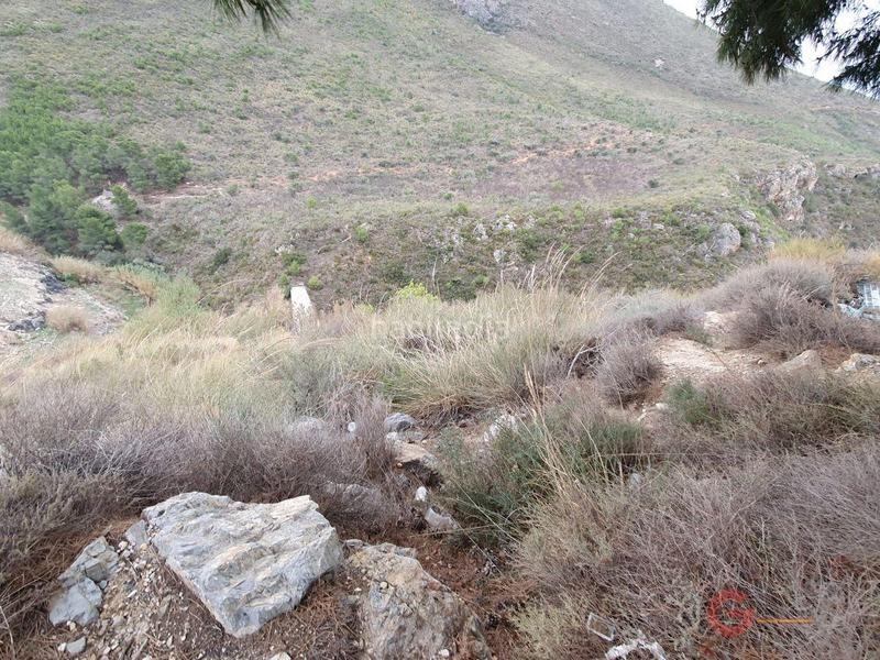 Foto 105d10d0-d86c-4229-838d-367c4c98ed65. Masía finca rustica en Molvízar