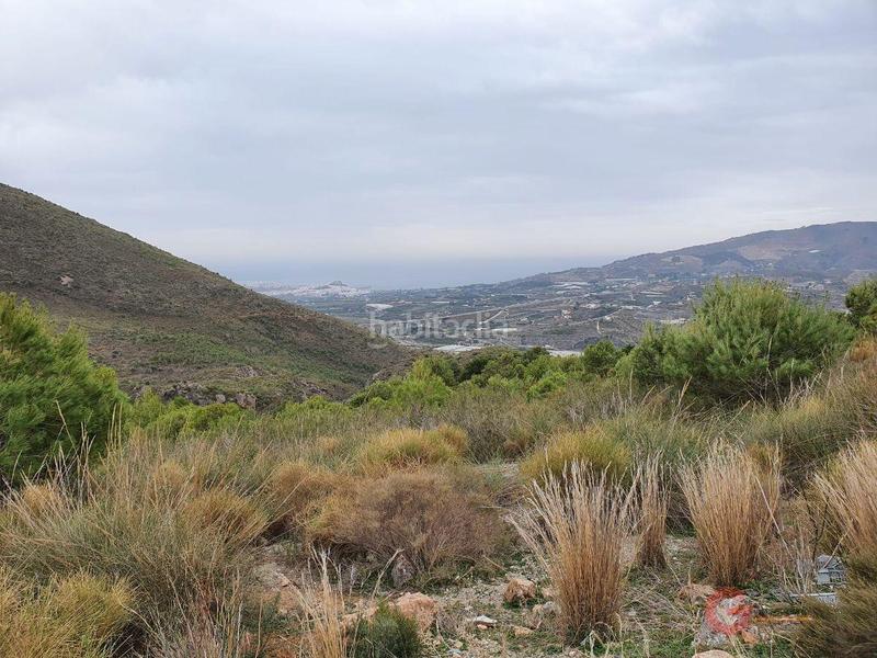 Foto 573305b0-5469-47b1-b6bc-f19a6e1ed4f3. Masía finca rustica en Molvízar