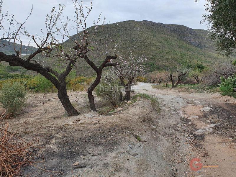 Foto 5be408f8-2a68-4b13-b7d1-1b070ccfcc16. Masía finca rustica en Molvízar