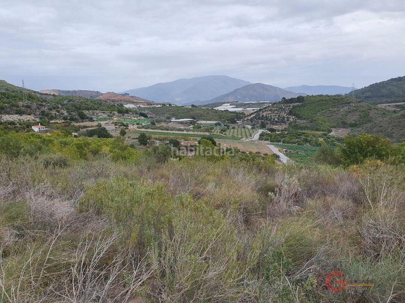 Foto 9daeffb0-3700-4bf2-8ba9-bf72522efdb2. Masía finca rustica en Molvízar