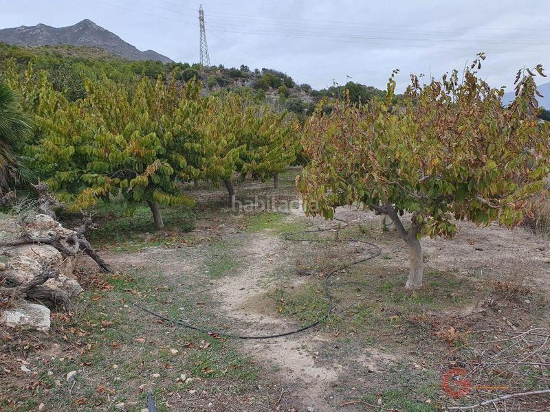 Foto f3c484da-9255-4a2d-bcff-c37e36a5d012. Masía finca rustica en Molvízar