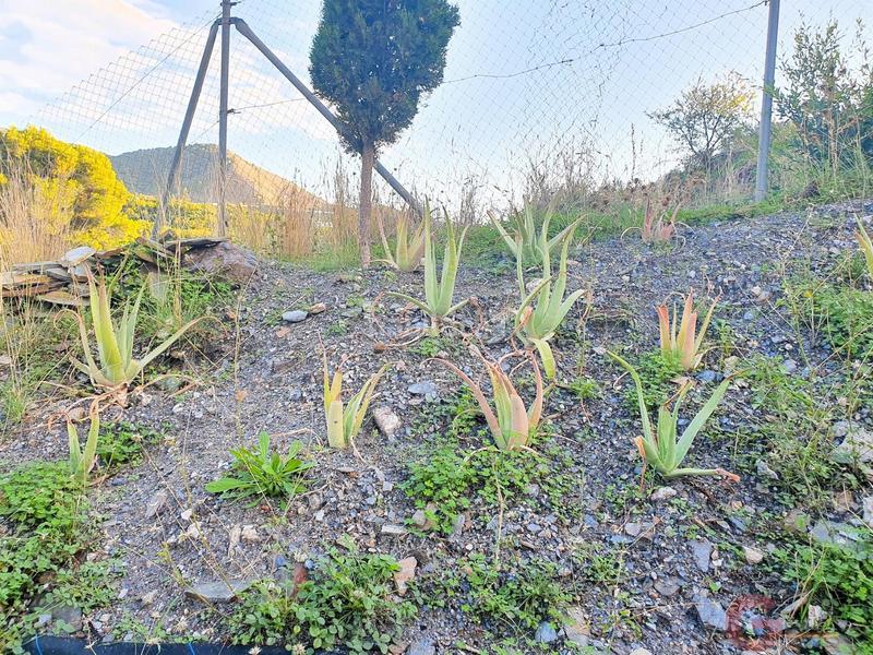 Foto 3b8e7e30-79f3-4a2f-a263-8af7c232b044. Chalet con piscina in Los Tablones - La Garnatilla Motril