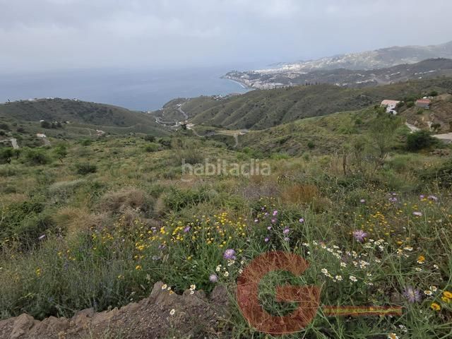 Foto 72c7194f-050a-42ed-ba86-69be4d95d43f. Masia a Monte los Almendros - El Pargo - Costa Aguilera Salobreña