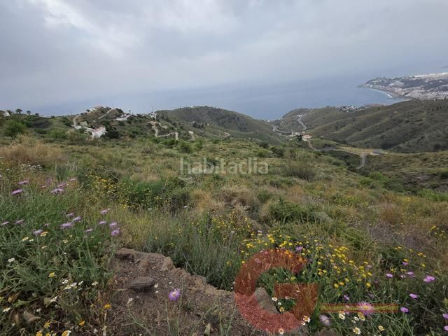 Foto 9a0b170d-37ec-46a9-acac-5d542e2ddef7. Masia a Monte los Almendros - El Pargo - Costa Aguilera Salobreña