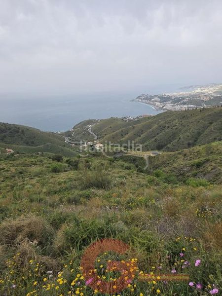 Foto a44752d6-51bc-4446-ae48-9a3527e24d12. Masia a Monte los Almendros - El Pargo - Costa Aguilera Salobreña