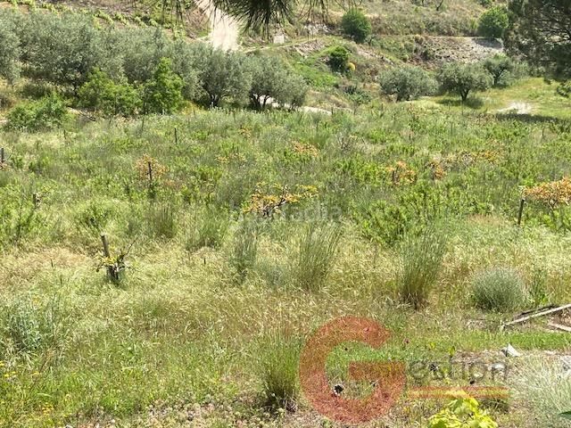 Foto 2735f1f6-c5bd-4c31-b78b-3b0e0dab4554. Masia a Capistrano Nerja