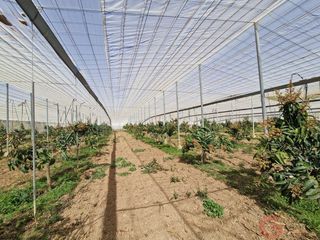 Masia a Molvízar. Molvízarfinca rustica