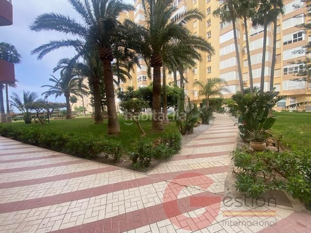 Foto 1c0ee2b2-a85a-428e-81a4-583766a7e654. Estudi amb piscina a Centro Internacional Torrox