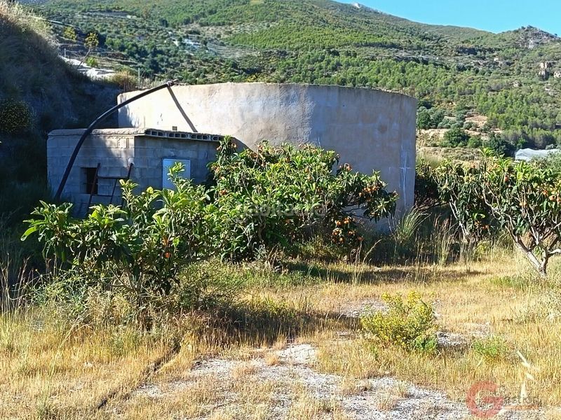 Foto fb8748a3-d254-496e-8d1f-bb55d0c397a2. Masia a Ítrabo