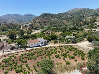 Country house in Comares. Comaresfinca rustica