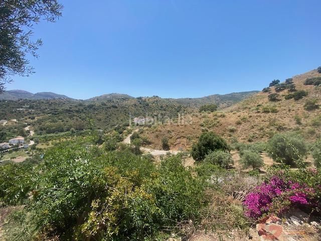 Foto b580ff7a-f494-44e0-b4ce-c366936b74f9. Masia a Comares