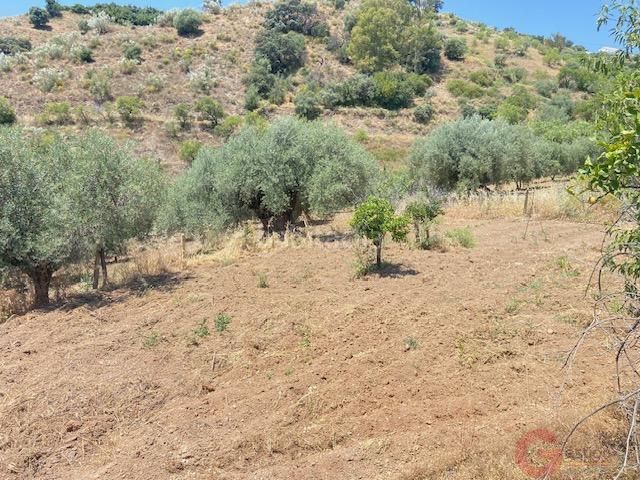 Foto e8afdf22-04bf-400a-bc71-b31ff62ae63c. Masia a Comares
