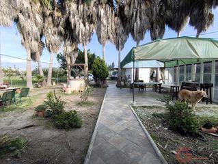 Bauernhof in Playa de Granada. Motrilfinca rustica