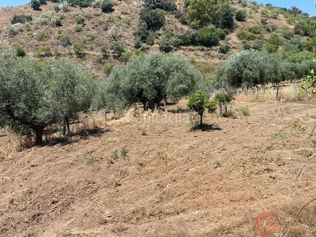 Foto b3889dd3-f1c4-40c6-9677-e87125308e73. Masia a Comares