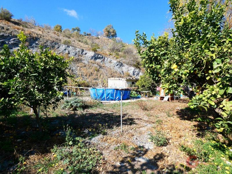 Foto 2fb7a770-eb3c-41f5-ad11-fdff46a9225c. Masía finca rustica en Los Tablones - La Garnatilla Motril
