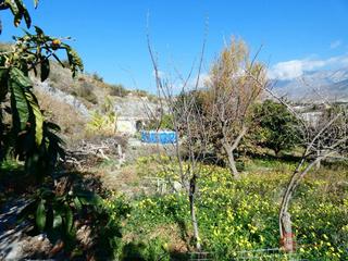 Masia a Los Tablones - La Garnatilla. Motrilfinca rustica