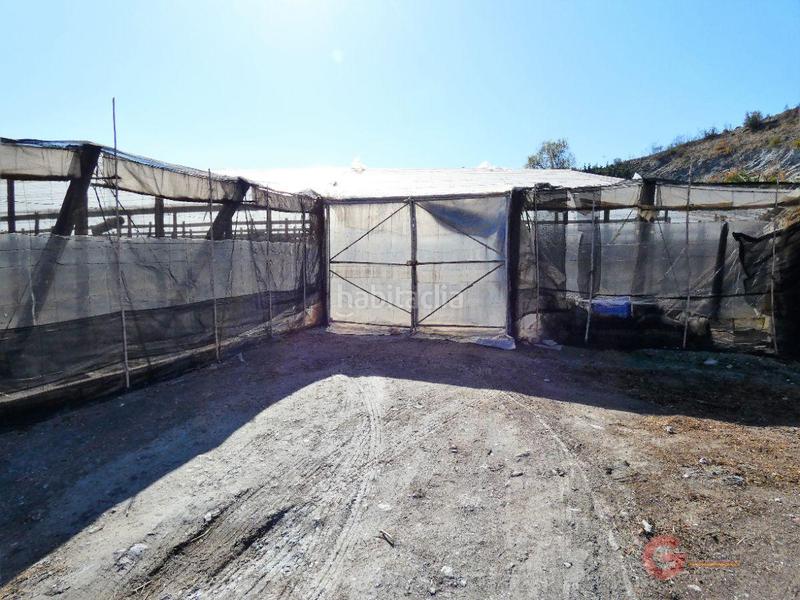 Foto f39a6027-64c4-4621-a44b-599ed2f2bec4. Masía finca rustica en Los Tablones - La Garnatilla Motril