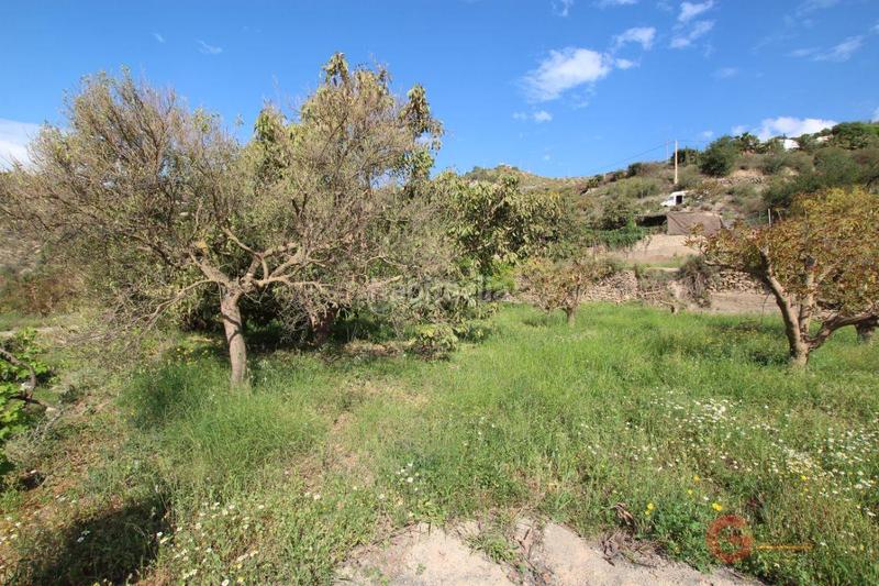 Foto 59b1fe6c-84d9-4917-b905-9dd48237159b. Terreno residencial terreno en Vélez de Benaudalla