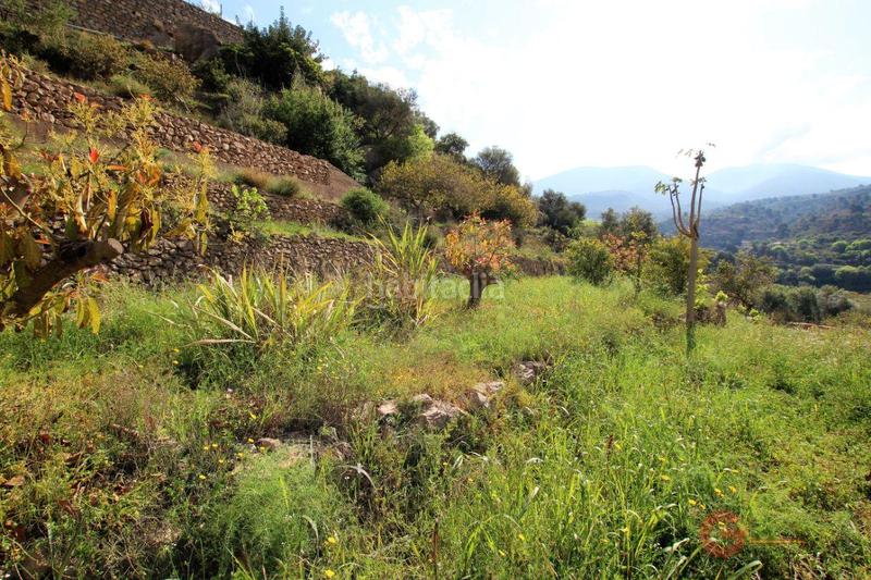 Foto bb00e462-34da-4e3b-9e81-0cad0c3b2fa6. Terreno residencial terreno en Vélez de Benaudalla