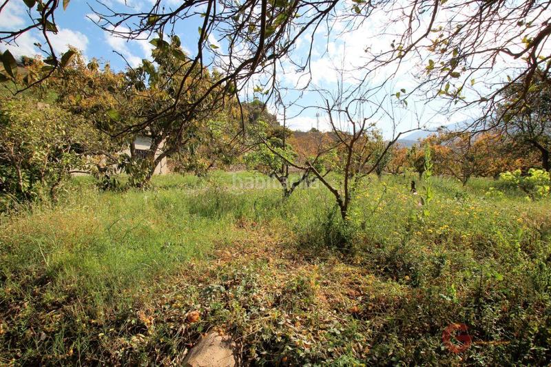 Foto e68120cb-6f8d-4562-8ace-8ac64bf95933. Terreno residencial terreno en Vélez de Benaudalla