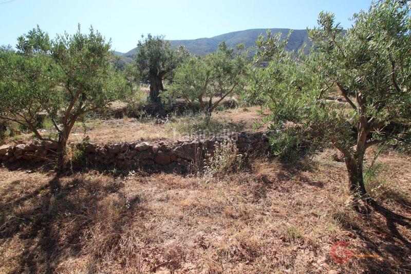 Foto 571f8e03-4651-4fa3-933a-321f19b2af37. Terreno residencial terreno en Vélez de Benaudalla